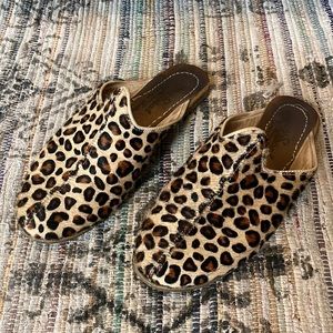 Sabah Leopard Slides